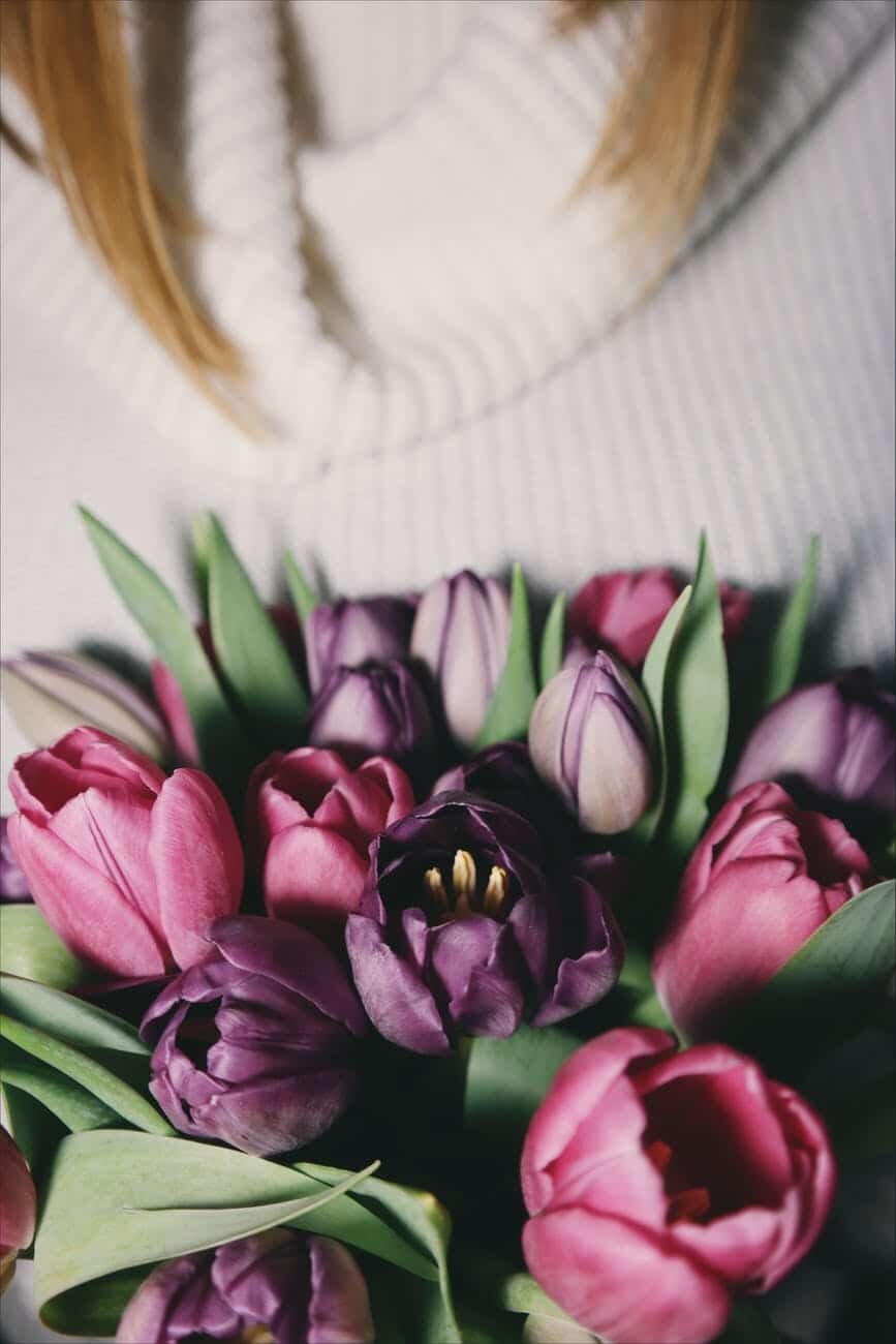 tulipes fleurs