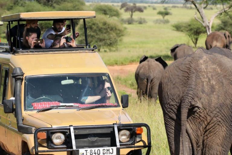 Comment réussir un safari en Afrique du Sud ?