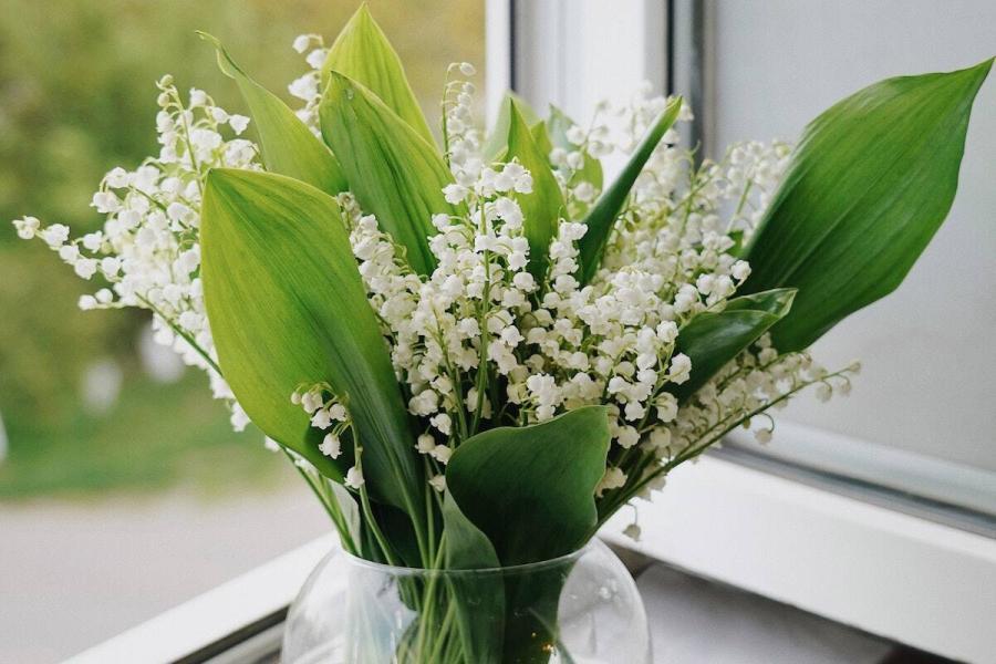 Muguet : voici pourquoi vous devriez en offrir à une femme bouquet