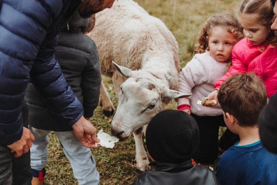 Centres de loisirs pour enfants : quels sont leurs avantages centres de loisirs enfants