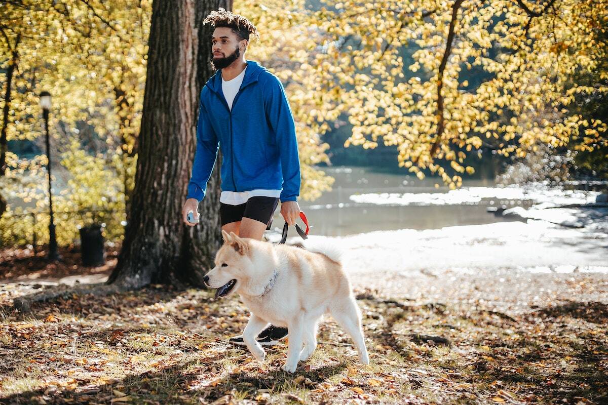 Pourquoi l'homme Gémeaux est-il si attachant gémeaux